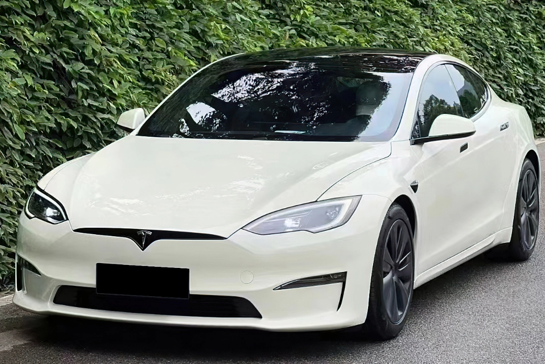 Pepper White Colored PPF