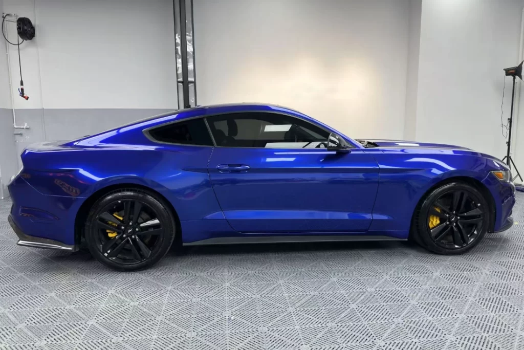 Blueberry Metallic Colored PPF