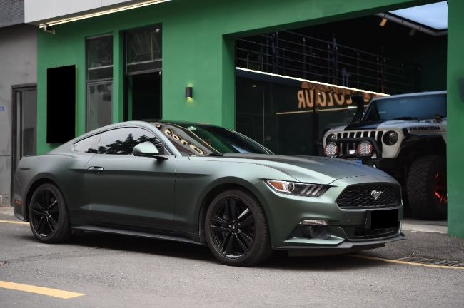 Matt Metal Blackish Green PPF