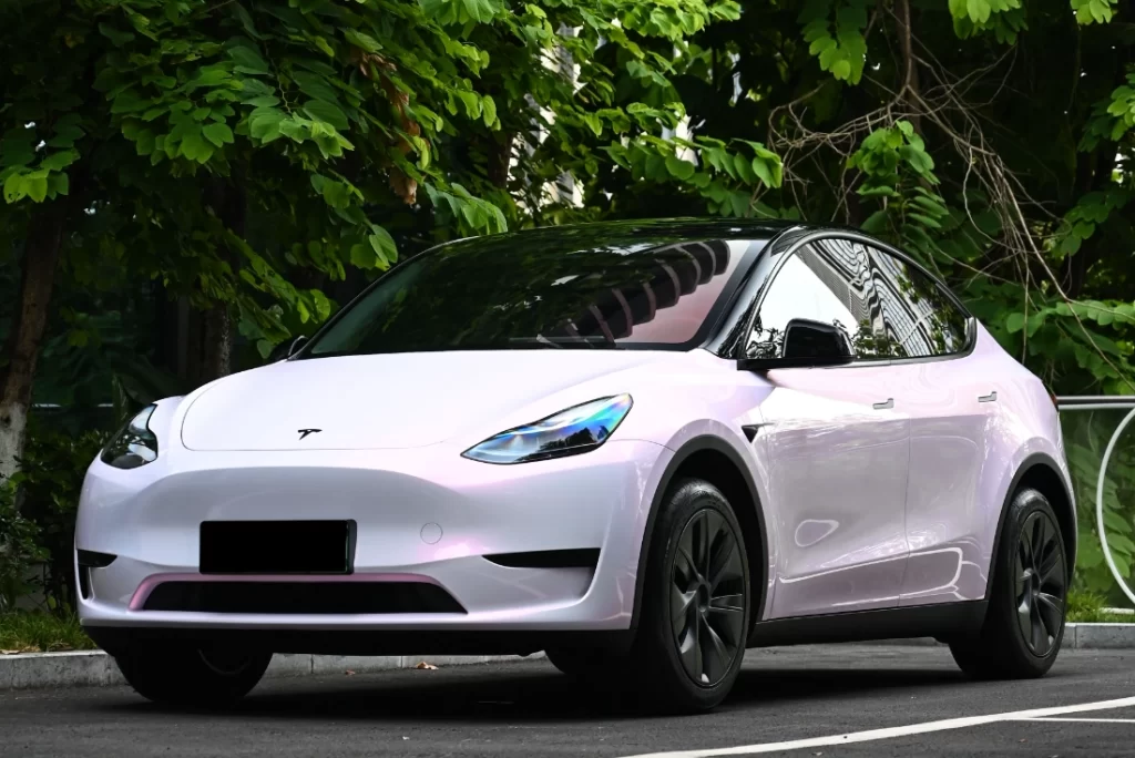 Flower Pink Colored PPF