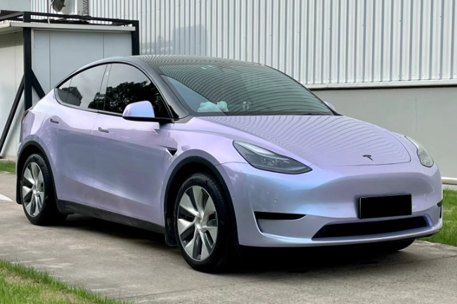 Champana Plata Púrpura Camaleón