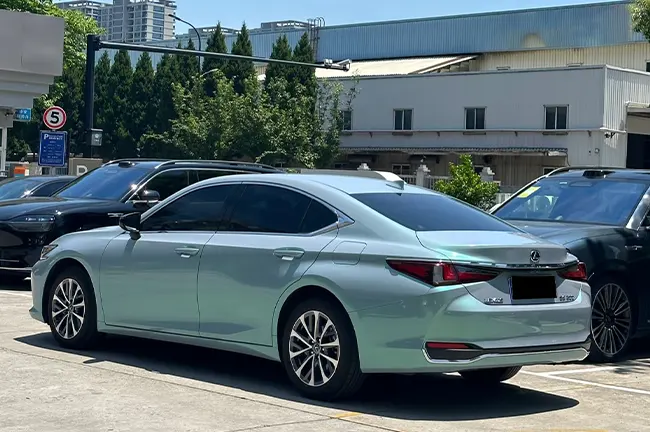 PPF Turquesa Camaleón