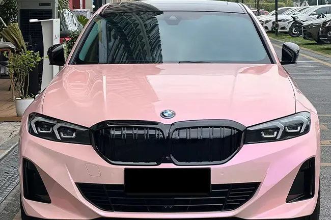 Pluma Carmesí Rosa Camaleón