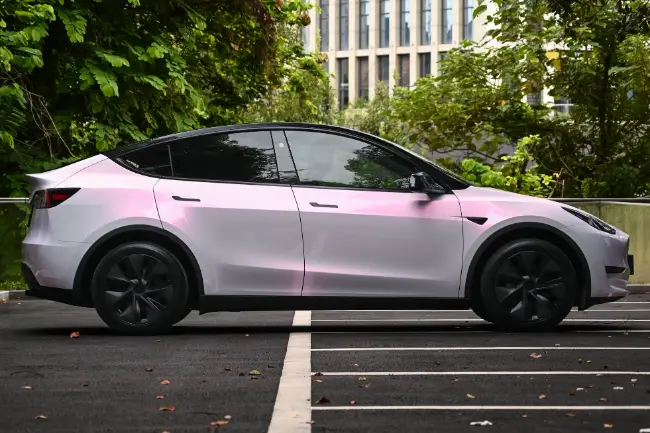 Película protectora de pintura rosa flor