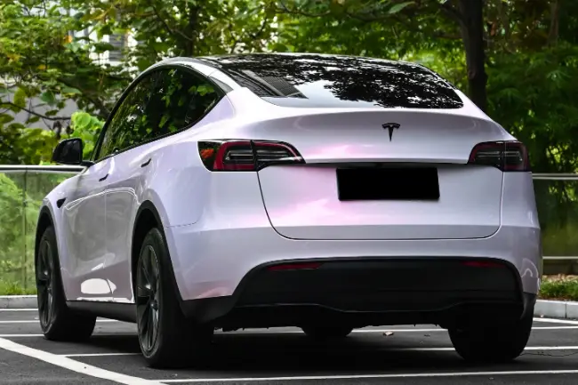 Película de envoltura de coche Flower Pink