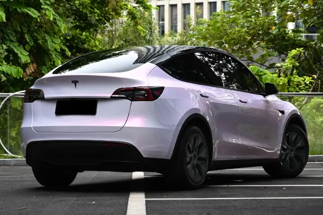 Película de pintura TPU rosa flor