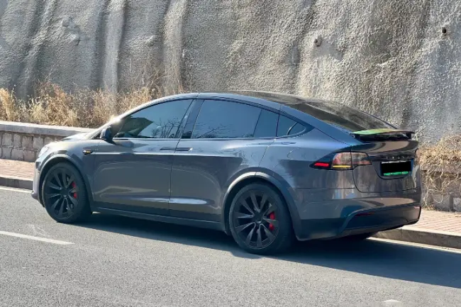 Película protectora de pintura Flip Psychedelic Grey