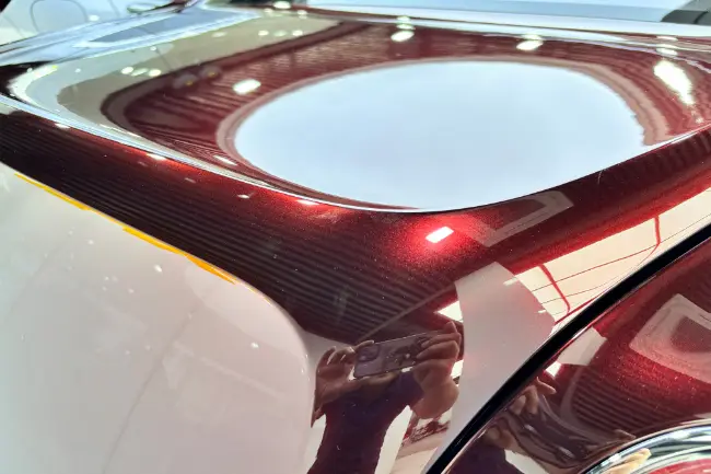 película TPU Black Rose brillante