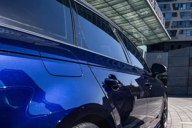 Película protectora de pintura azul Navarra