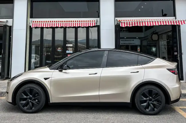 Película protectora Light Champagne Gold