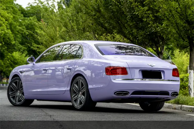 Película de pintura TPU púrpura Stardust