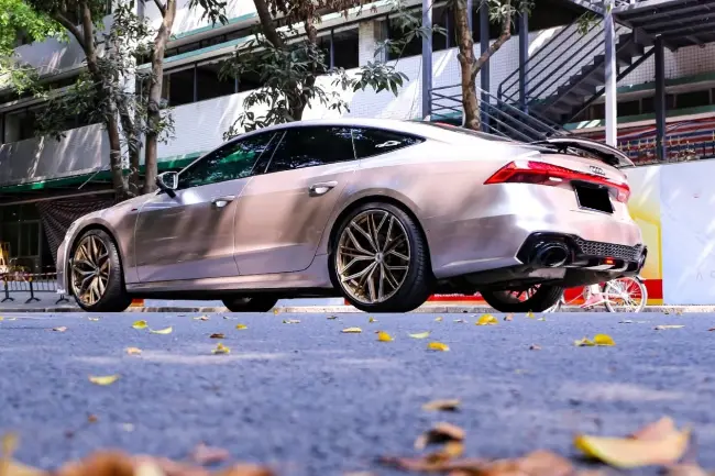 Película protectora de pintura Akko Gold