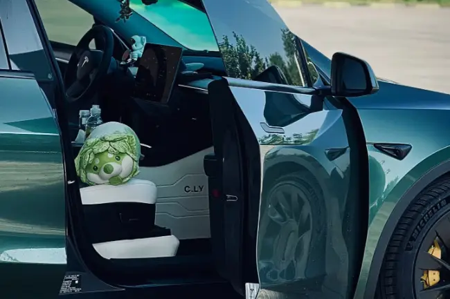 Película de pintura TPU verde bosque