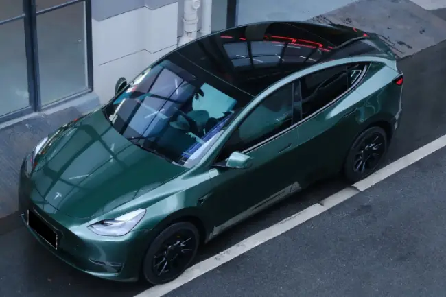 Película protectora de pintura verde bosque