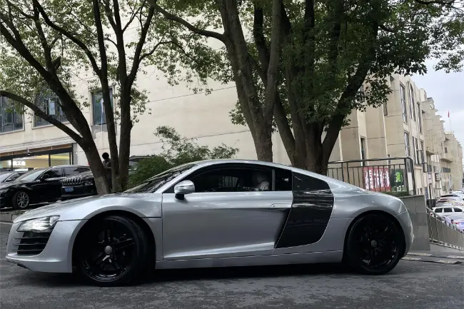 Película protectora de pintura metálica plateada