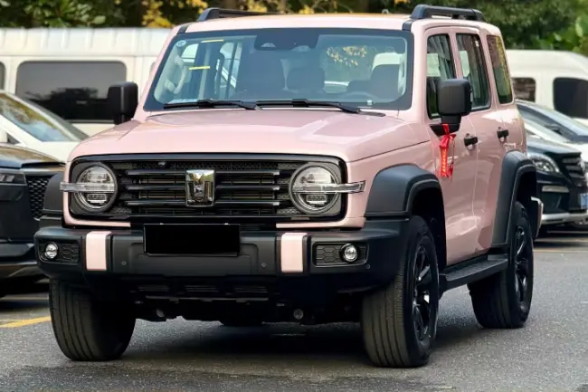 Película de envoltura para coche Liquid Shell Pink