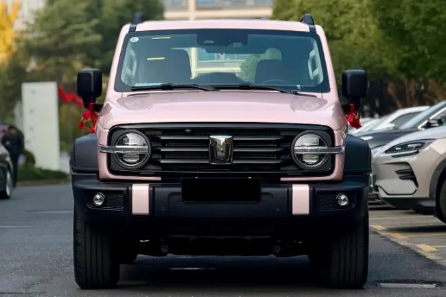 Película protectora de pintura rosa Liquid Shell