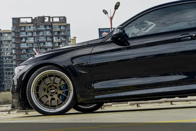 Película protectora de pintura negra de Santorini