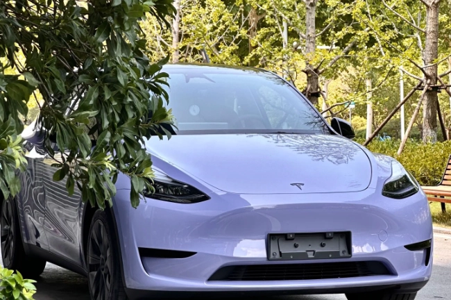 PPF Púrpura de Victoria