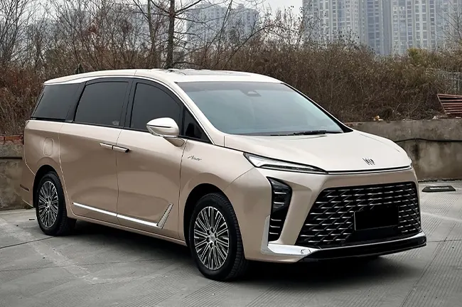 Deep Champagne Gold PPF