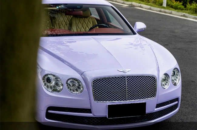 PPF Púrpura de Polvo Estelar