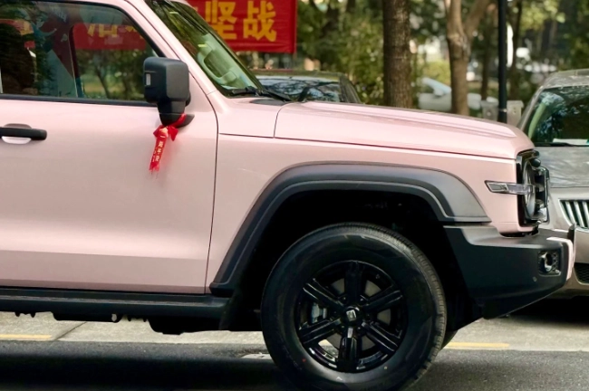 PPF rosa de cáscara líquida