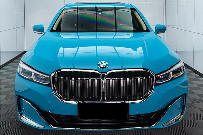 Película de envolvente Miami Blue