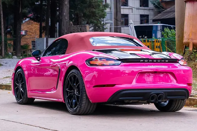 Película protectora de pintura Beets Purple