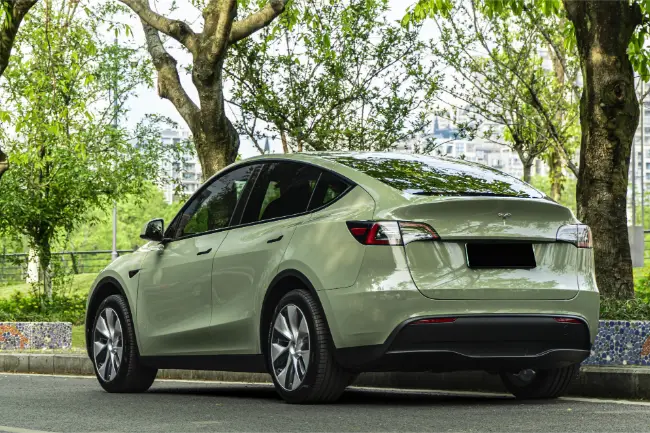 Película protectora de pintura verde blindado