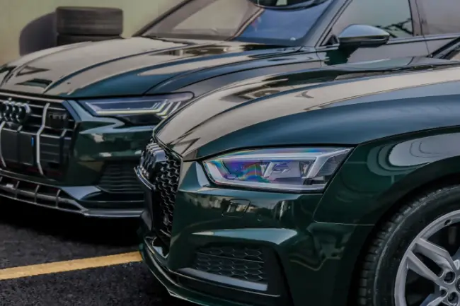 Película TPU verde esmeralda intensa