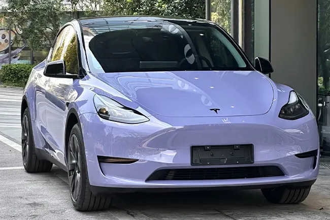 Película protectora de pintura púrpura de Victoria