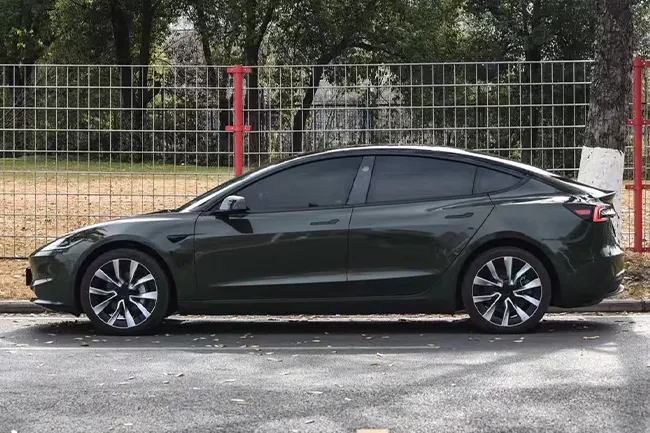 Película protectora de pintura oliva negra