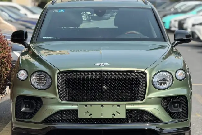 Capa de capucha Mountain Green