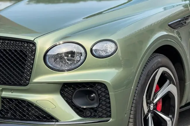 Película bumper de Mountain Green