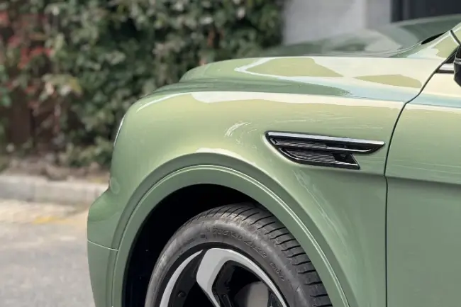 Protección de carrocería de Mountain Green