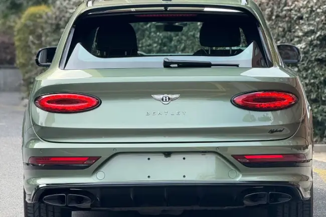 Película protectora de pintura verde montaña