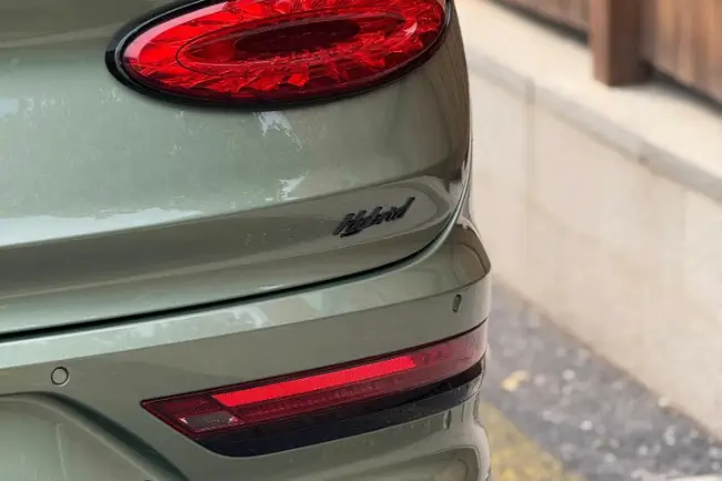 Protector verde montaña para coche