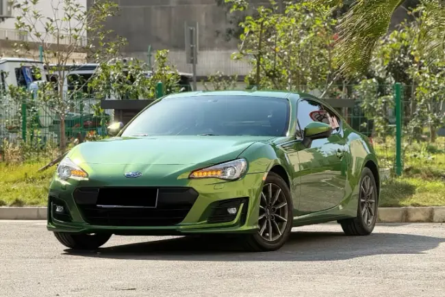 Película protectora de pintura Mamba Green